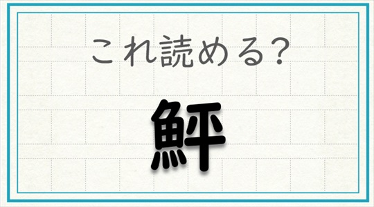 毎日脳トレ 難読漢字に挑戦 鮃 この漢字 なんと読む Dアプリ レビュー